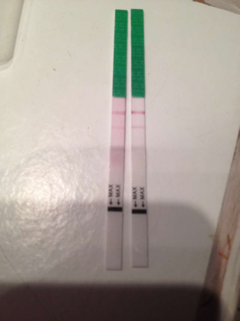 ÆL test + test af mandens urin - Vil gerne være gravid Babyklar