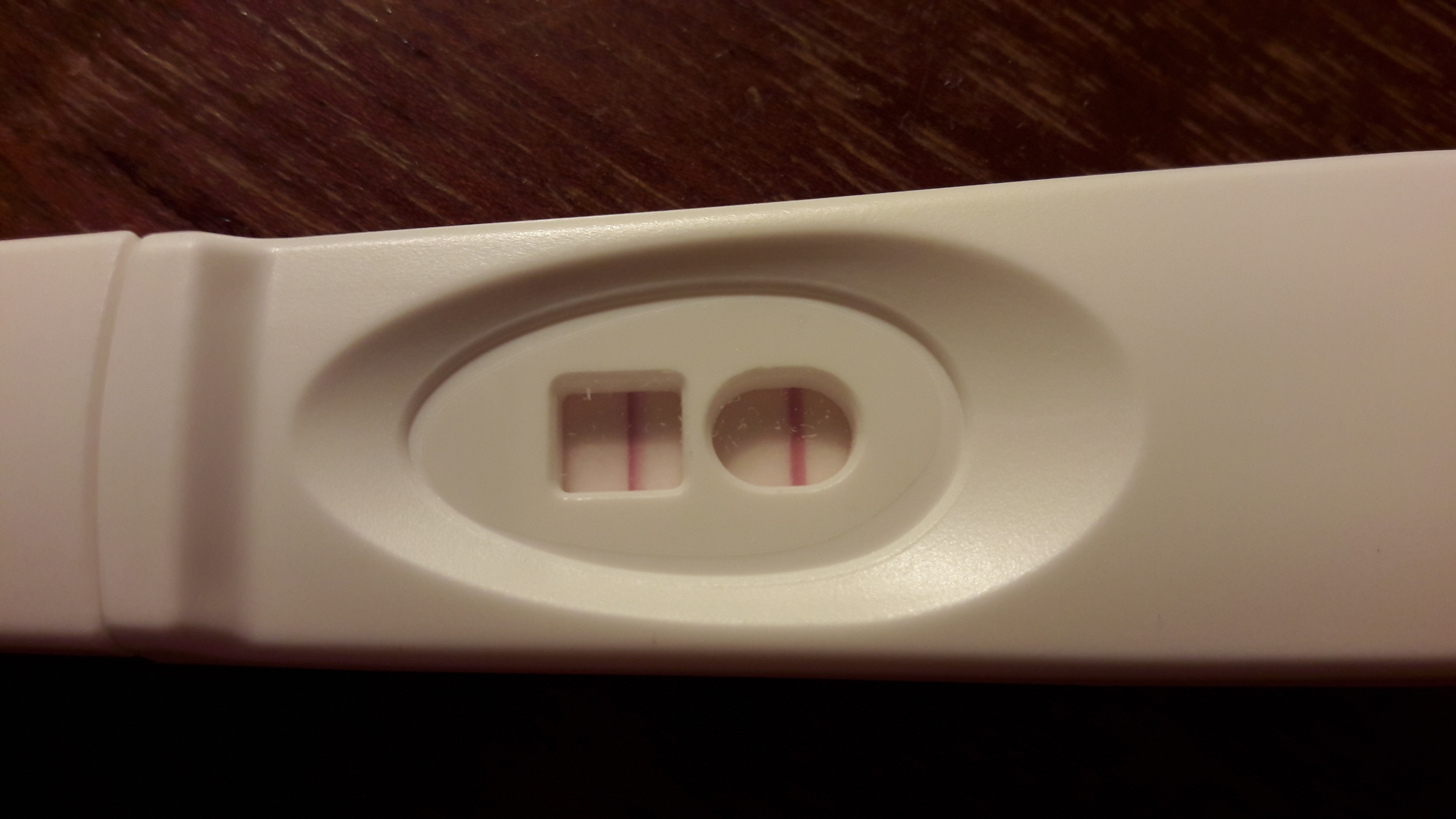 Positiv ægløsningstest gravid