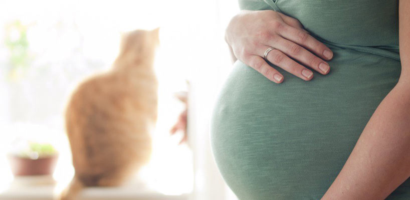 gravid kvinde og kat